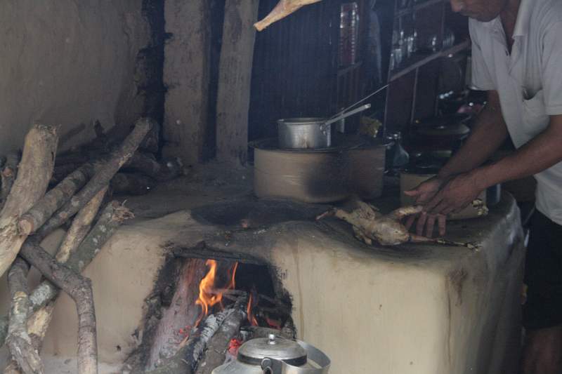 India & Nepal 2011 - 0626